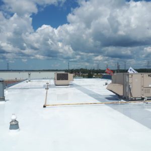 Polyurethane Roof System